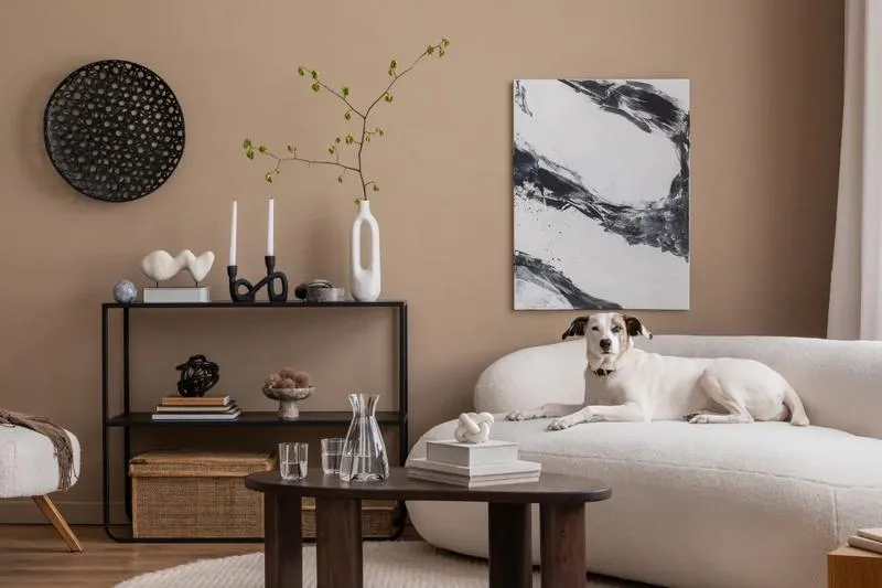 Odkryj perfekcyjne kolory ścian do szarej kanapy, które ożywią Twoje wnętrze