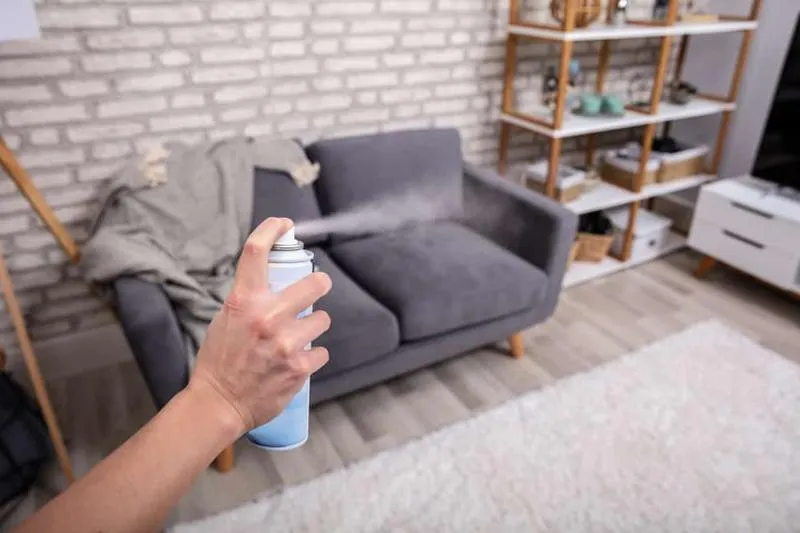 Sposoby na odświeżenie zapachu kanapy i eliminację nieprzyjemnych aromatów