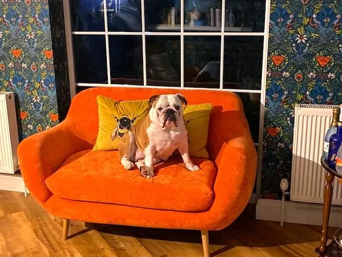 Pomarańczowa kanapa