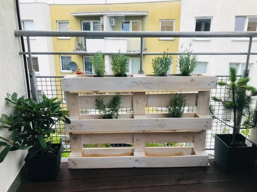 Projekt DIY kwietnika