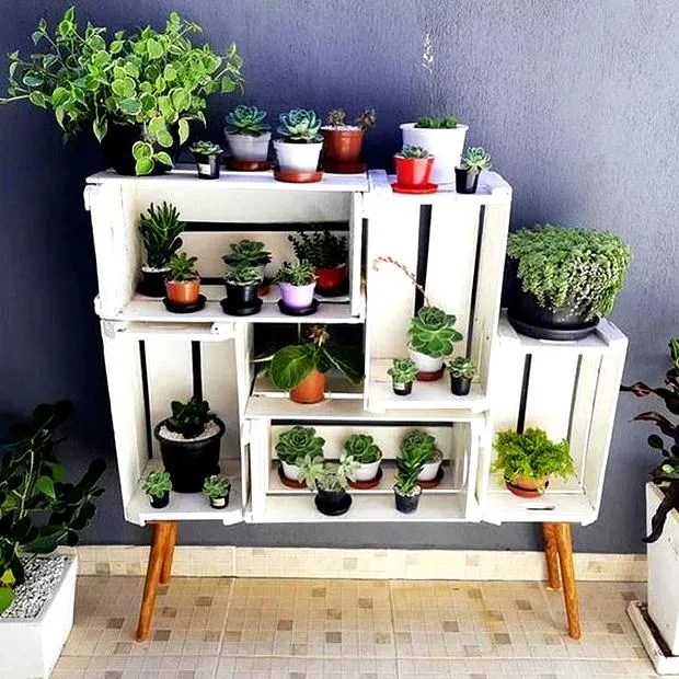 Rośliny do skrzynki