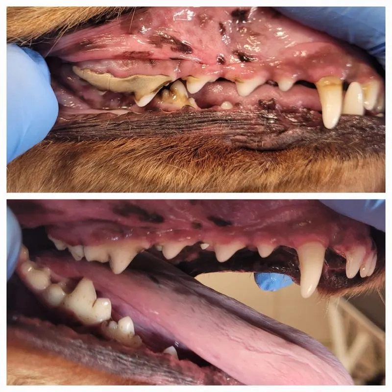 Techniki czyszczenia na sucho