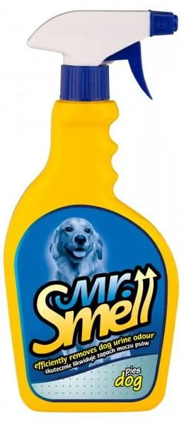 Usunięcie zapachu moczu psa