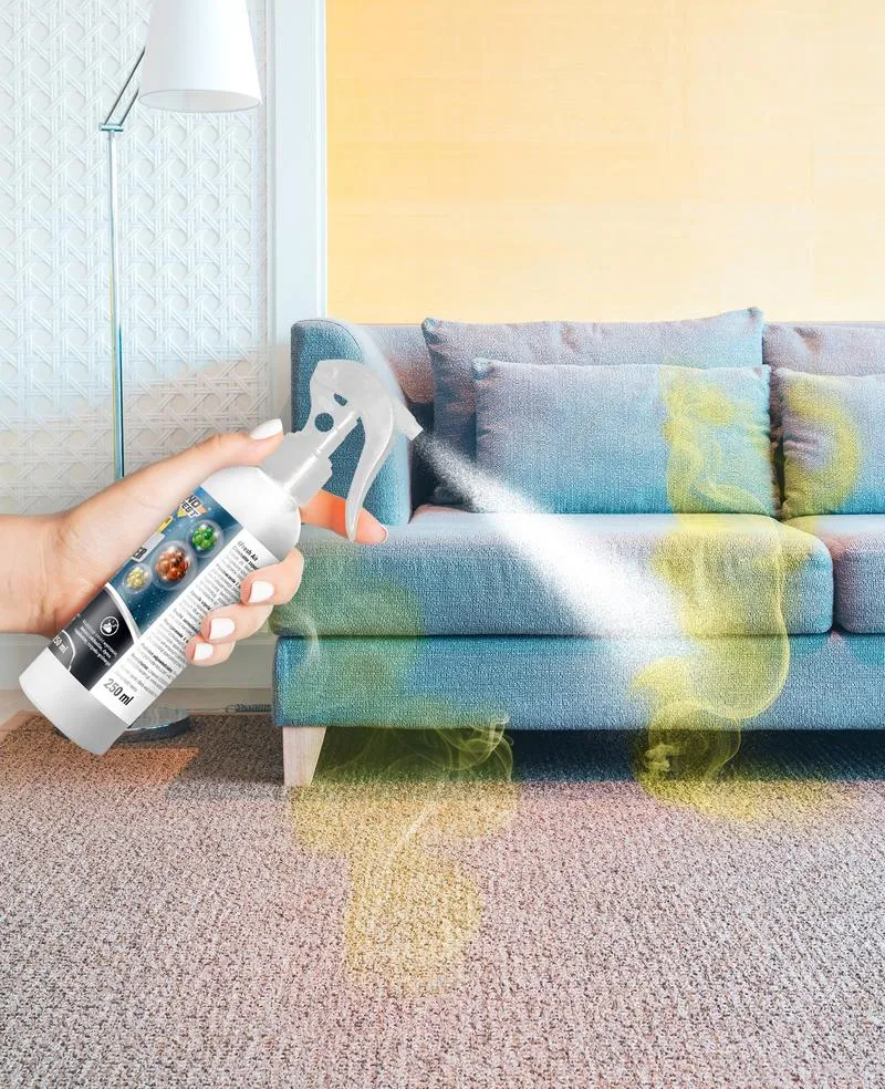 Usuwanie zapachu moczu kota z kanapy